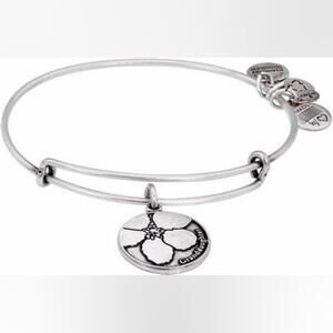 Alex + Ani Silver Granddaughter Charm Bracelet
